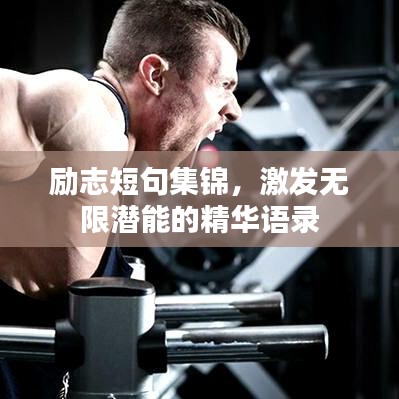 励志短句集锦，激发无限潜能的精华语录