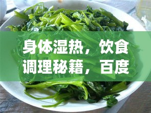 身体湿热，饮食调理秘籍，百度为你揭晓！