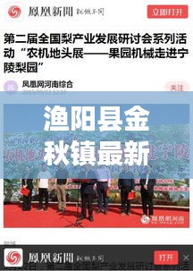 渔阳县金秋镇最新新闻聚焦