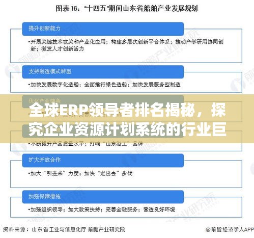 全球ERP领导者排名揭秘，探究企业资源计划系统的行业巨头