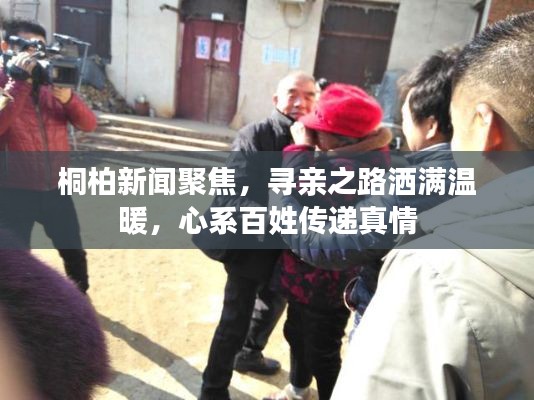 桐柏新闻聚焦，寻亲之路洒满温暖，心系百姓传递真情