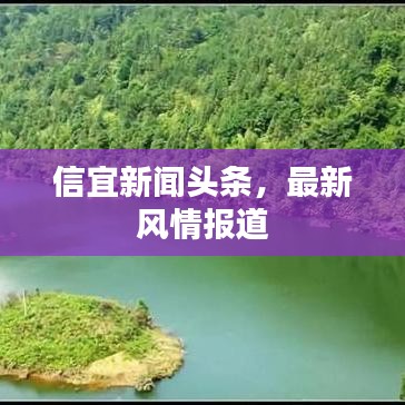 信宜新闻头条，最新风情报道