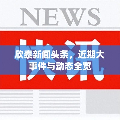欣泰新闻头条，近期大事件与动态全览