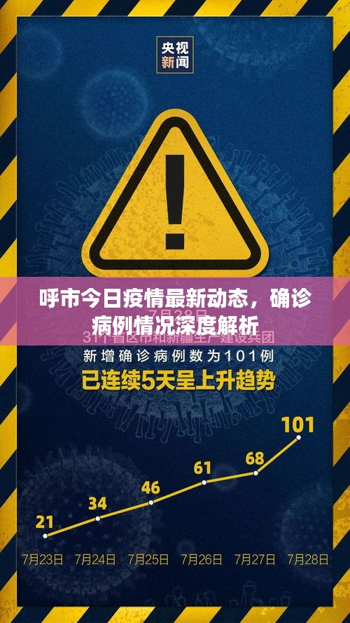 呼市今日疫情最新动态，确诊病例情况深度解析