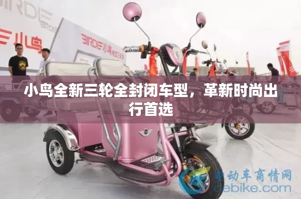 小鸟全新三轮全封闭车型，革新时尚出行首选