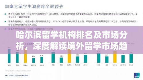 哈尔滨留学机构排名及市场分析，深度解读境外留学市场趋势