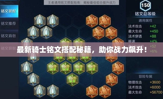 最新骑士铭文搭配秘籍，助你战力飙升！