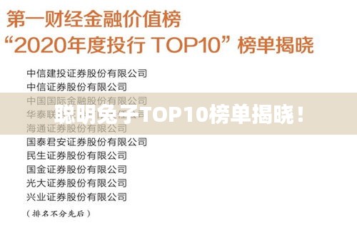 聪明兔子TOP10榜单揭晓！