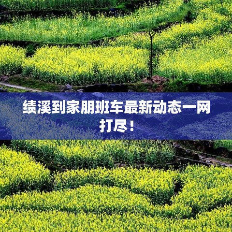 绩溪到家朋班车最新动态一网打尽！